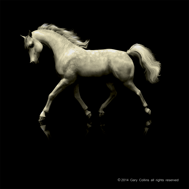 Arabian Horse CGI