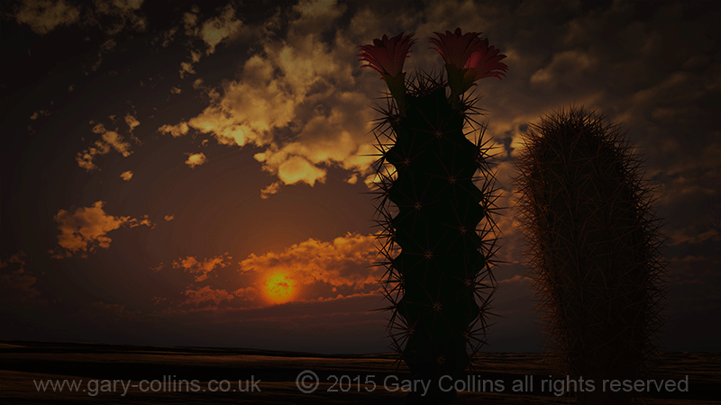 cacti in love