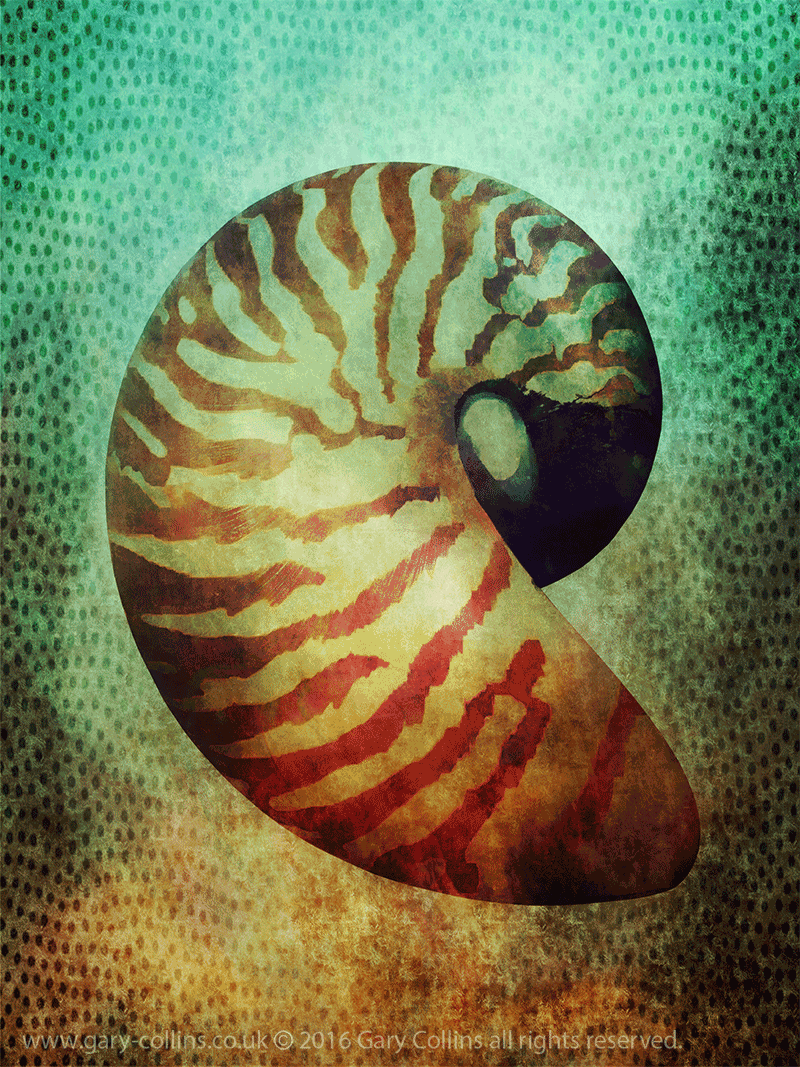 Nautilus